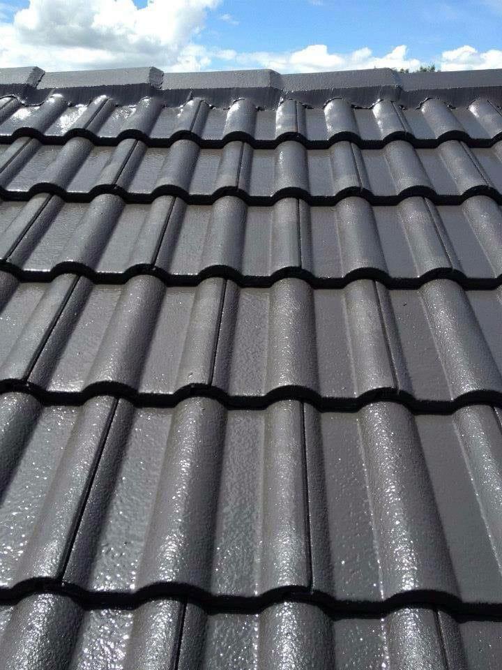 Roof Repair Guys | Roof Painting Services